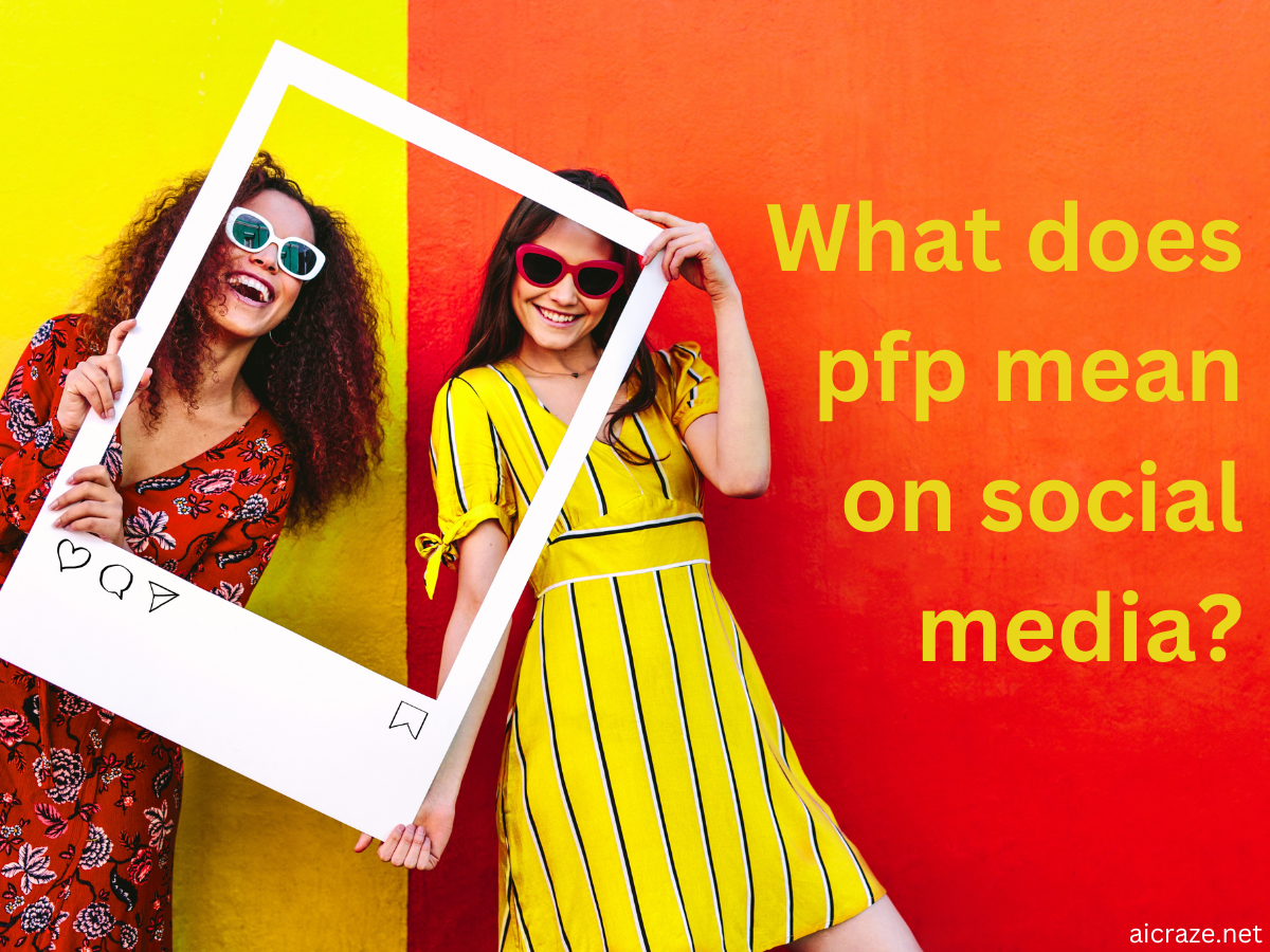 What does pfp mean on social media