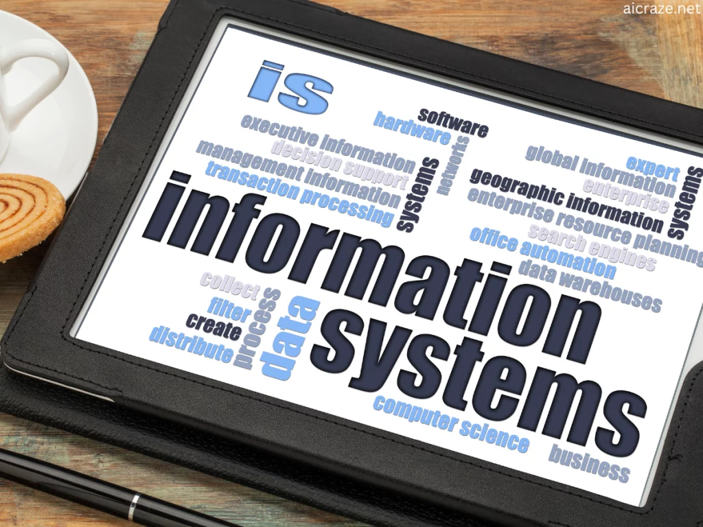 What is Executive Information System with Example